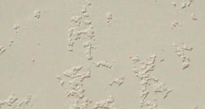 清水混凝土貼圖