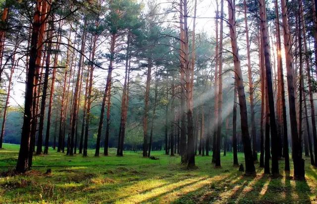 環(huán)保風暴襲擊，萬磊居然還去了北京搞了這么大件事...