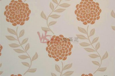 硅藻泥VS乳膠漆哪個(gè)好？