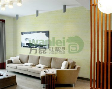 新手怎么鑒別硅藻泥？