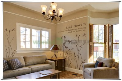 硅藻泥，更好的隔音減噪墻面涂料