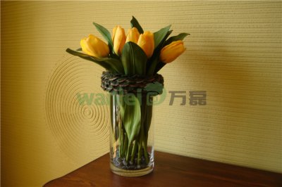 有了硅藻泥，新房入住不再等！