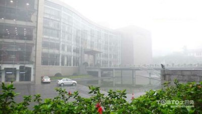 驚蟄過(guò)，春雨至，硅藻泥讓你告別濕轆轆